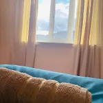 за гости байрактарова Apartment