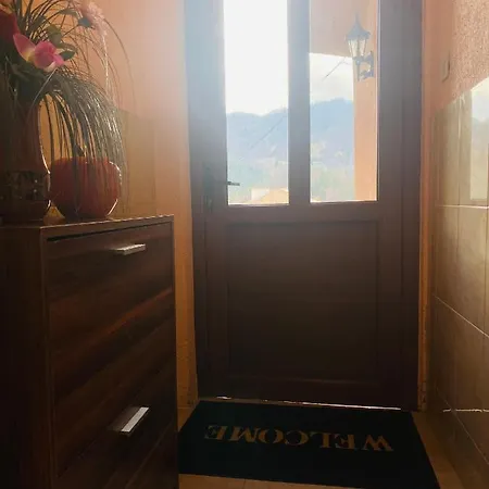 за гости байрактарова *