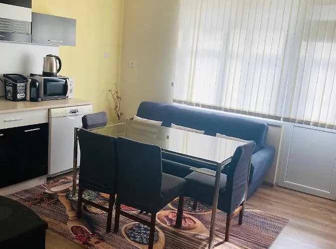 за гости байрактарова